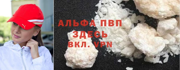 PSILOCYBIN Кулебаки