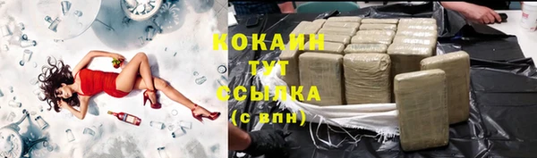 PSILOCYBIN Кулебаки