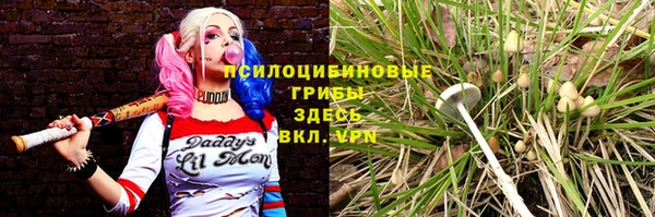 PSILOCYBIN Кулебаки