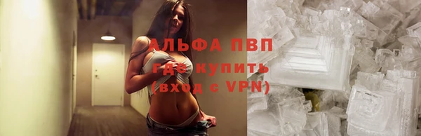 PSILOCYBIN Кулебаки