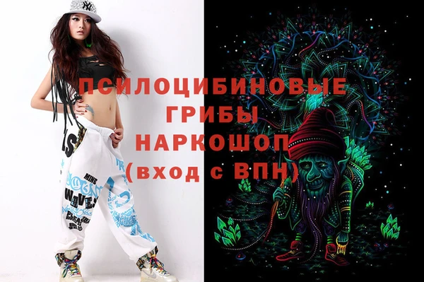 PSILOCYBIN Кулебаки