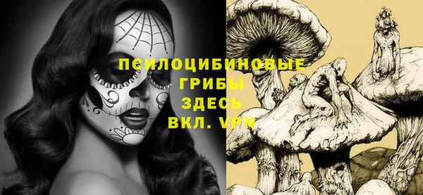 PSILOCYBIN Кулебаки