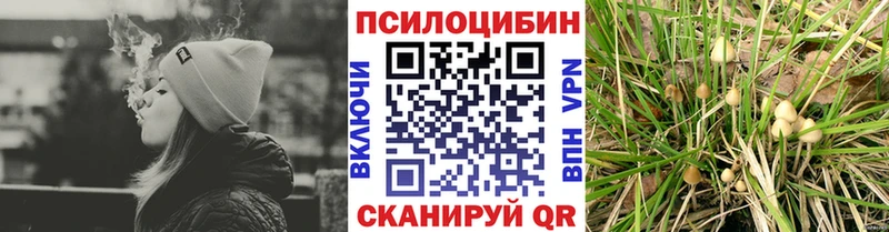 Купить  Игарка  Галлюциногенные грибы ЛСД 
