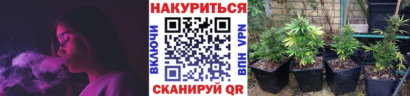 Купить закладки  Игарка  Марихуана Amnesia 